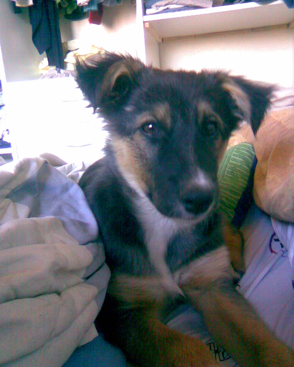 fotos/0000-00-00 - Infancia/Imagen052.jpg